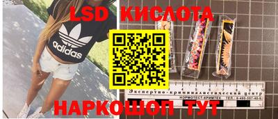 стаф Свободный