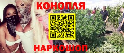 стаф Свободный