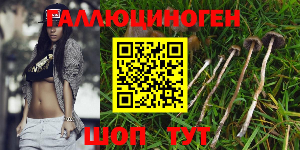 Псилоцибиновые грибы мухоморы Новотроицк