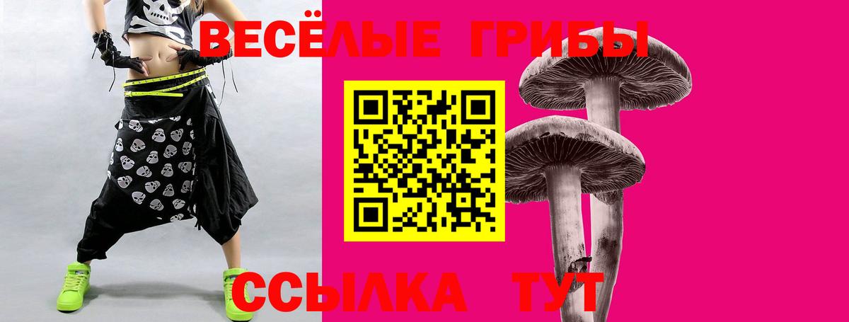 Галлюциногенные грибы GOLDEN TEACHER  Галлюциногенные грибы мицелий  цена наркотик  Вход с VPN  Новотроицк 